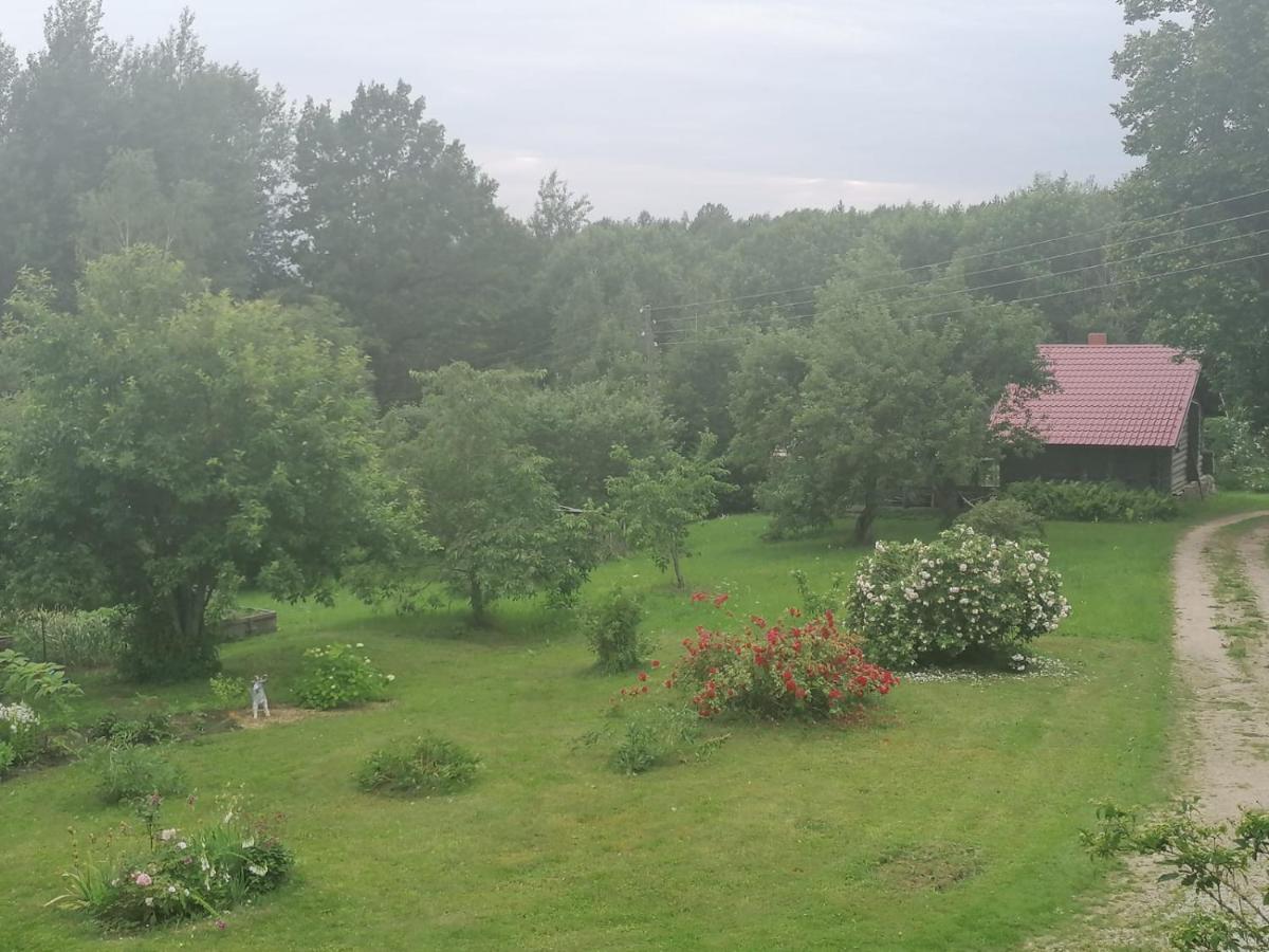 Country House Podini Daire Mālpils Dış mekan fotoğraf