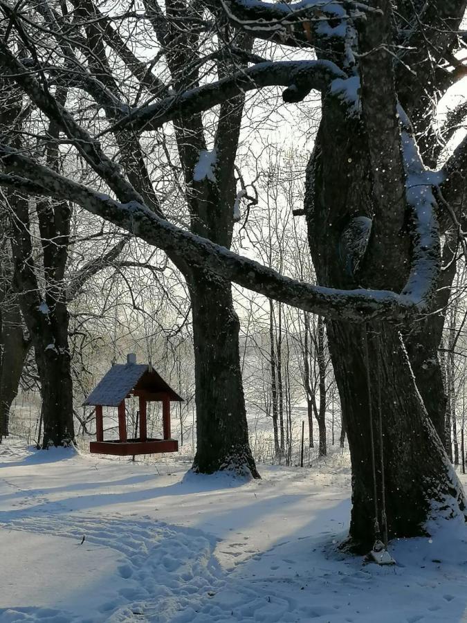 Country House Podini Daire Mālpils Dış mekan fotoğraf