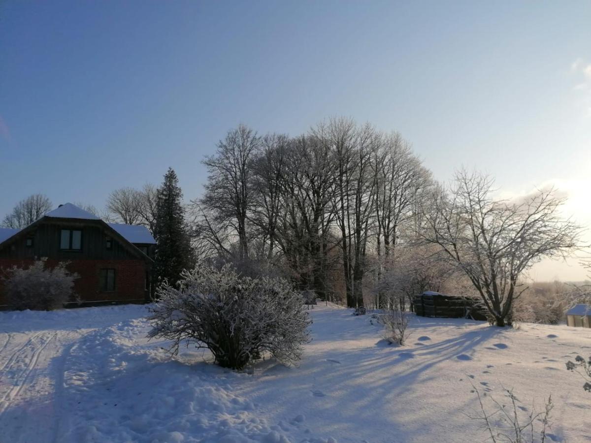 Country House Podini Daire Mālpils Dış mekan fotoğraf