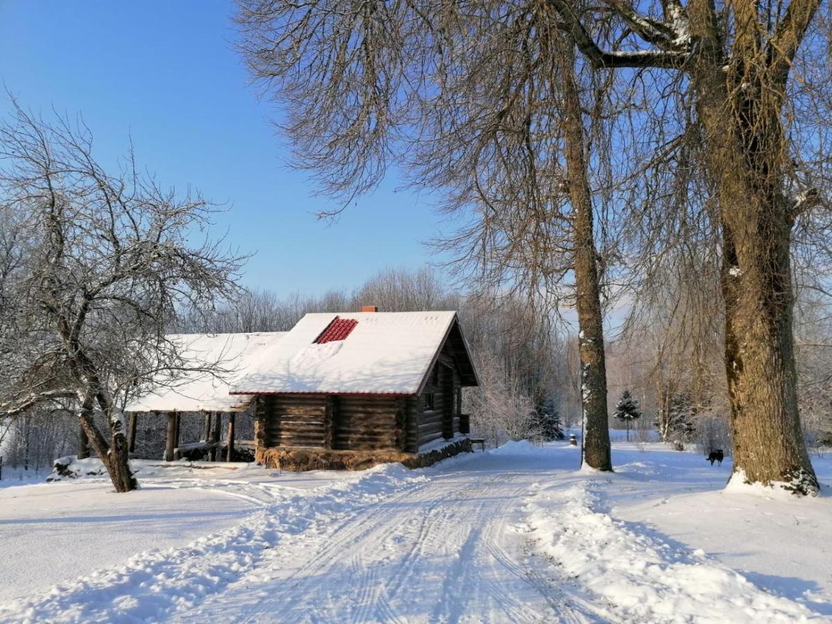 Country House Podini Daire Mālpils Dış mekan fotoğraf